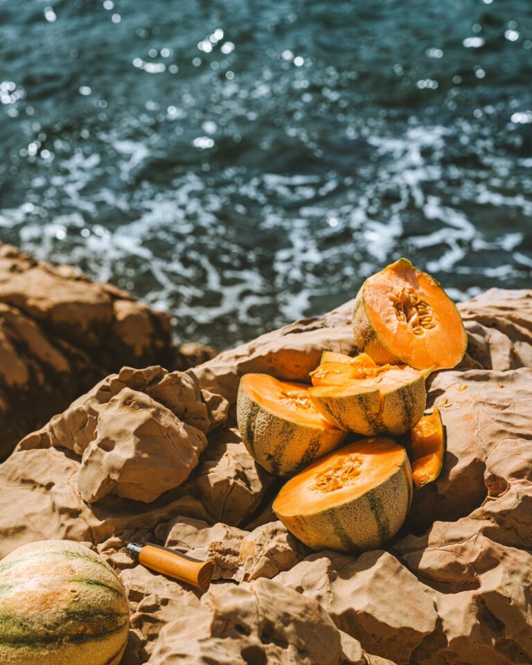 melons on rocks by water le sud 2