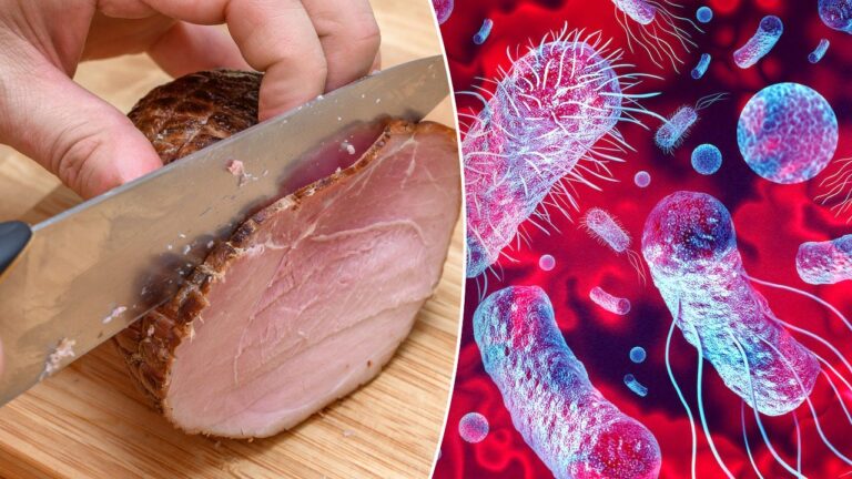 deli meat listeria