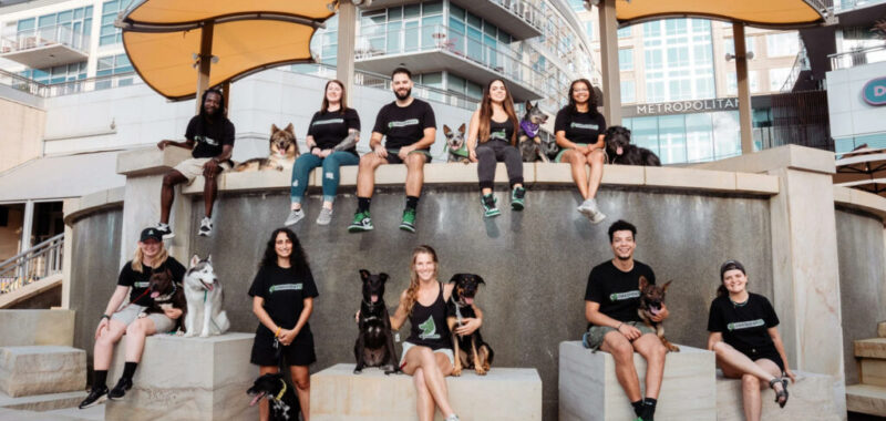 Obedient K9 Academy Sets New Standards in Dog Training Across Charlotte, NC