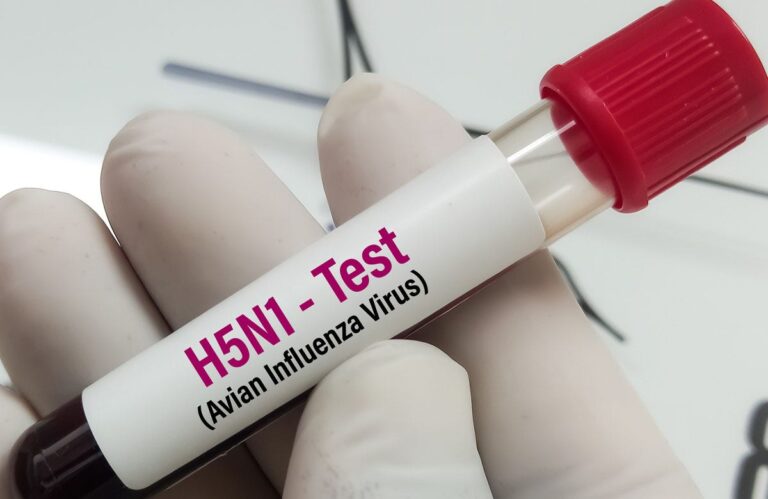 h5n1 test