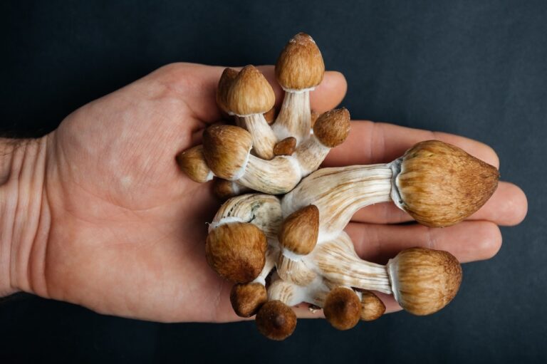 holding mushrooms
